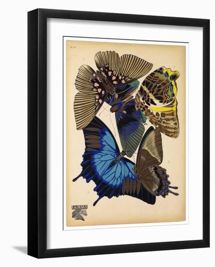 Butterflies Plate 9-null-Framed Giclee Print