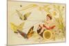 Butterflies Pulling Cherub on Thread Spool Chariot-null-Mounted Giclee Print