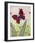 Butterflies, Red, Purple and Blue, 2016-Pat Scott-Framed Giclee Print