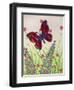 Butterflies, Red, Purple and Blue, 2016-Pat Scott-Framed Giclee Print