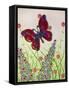 Butterflies, Red, Purple and Blue, 2016-Pat Scott-Framed Stretched Canvas