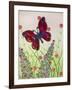 Butterflies, Red, Purple and Blue, 2016-Pat Scott-Framed Giclee Print