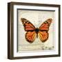 Butterflies Script II-Amy Melious-Framed Art Print