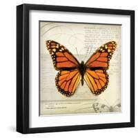 Butterflies Script II-Amy Melious-Framed Art Print