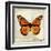 Butterflies Script II-Amy Melious-Framed Art Print