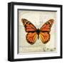 Butterflies Script II-Amy Melious-Framed Art Print