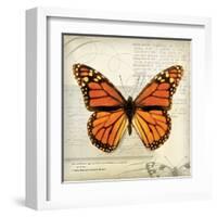 Butterflies Script II-Amy Melious-Framed Art Print