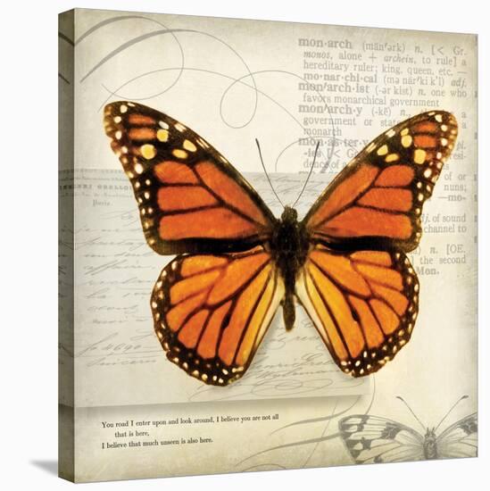 Butterflies Script II-Amy Melious-Stretched Canvas