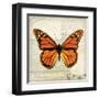 Butterflies Script II-Amy Melious-Framed Art Print