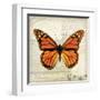 Butterflies Script II-Amy Melious-Framed Art Print