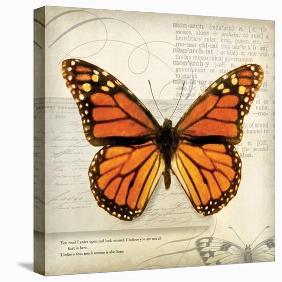 Butterflies Script II-Amy Melious-Stretched Canvas