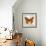 Butterflies Script II-Amy Melious-Framed Premium Giclee Print displayed on a wall