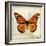 Butterflies Script II-Amy Melious-Framed Premium Giclee Print