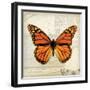 Butterflies Script II-Amy Melious-Framed Premium Giclee Print