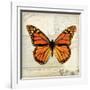 Butterflies Script II-Amy Melious-Framed Art Print