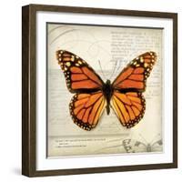 Butterflies Script II-Amy Melious-Framed Art Print