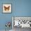 Butterflies Script II-Amy Melious-Framed Art Print displayed on a wall