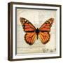 Butterflies Script II-Amy Melious-Framed Art Print