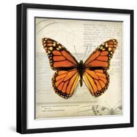 Butterflies Script II-Amy Melious-Framed Art Print