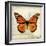 Butterflies Script II-Amy Melious-Framed Art Print