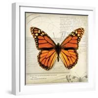 Butterflies Script II-Amy Melious-Framed Art Print