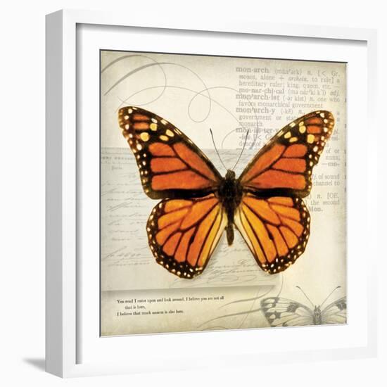 Butterflies Script II-Amy Melious-Framed Art Print