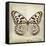 Butterflies Script III-Amy Melious-Framed Stretched Canvas