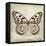 Butterflies Script III-Amy Melious-Framed Stretched Canvas