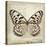 Butterflies Script III-Amy Melious-Stretched Canvas