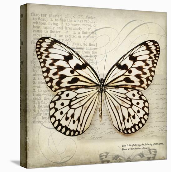 Butterflies Script III-Amy Melious-Stretched Canvas