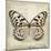 Butterflies Script III-Amy Melious-Mounted Art Print