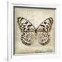 Butterflies Script III-Amy Melious-Framed Art Print