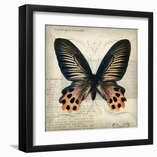 Butterflies Script IV-Amy Melious-Framed Art Print