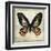 Butterflies Script IV-Amy Melious-Framed Art Print