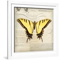 Butterflies Script V-Amy Melious-Framed Art Print
