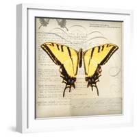 Butterflies Script V-Amy Melious-Framed Art Print