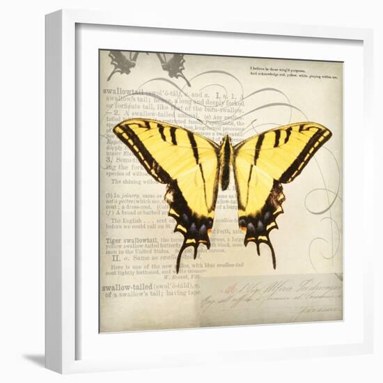 Butterflies Script V-Amy Melious-Framed Art Print