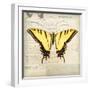 Butterflies Script V-Amy Melious-Framed Art Print