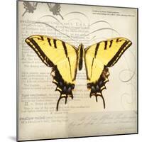 Butterflies Script V-Amy Melious-Mounted Art Print