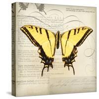 Butterflies Script V-Amy Melious-Stretched Canvas