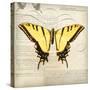 Butterflies Script V-Amy Melious-Stretched Canvas