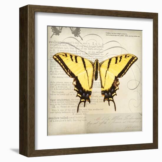 Butterflies Script V-Amy Melious-Framed Art Print