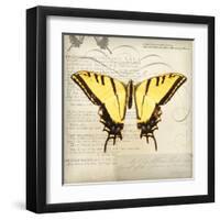 Butterflies Script V-Amy Melious-Framed Art Print