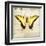 Butterflies Script V-Amy Melious-Framed Art Print