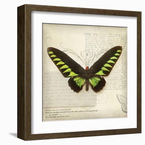 Butterflies Script VI-Amy Melious-Framed Art Print