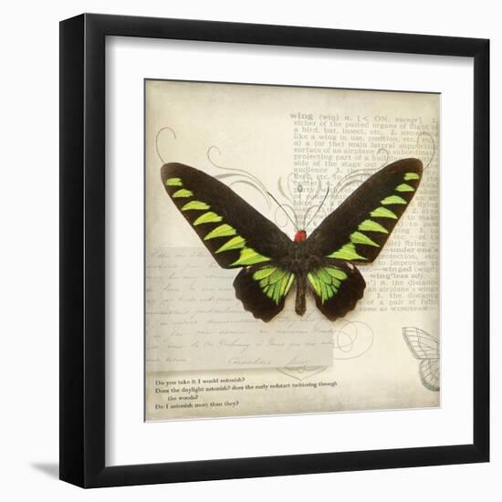 Butterflies Script VI-Amy Melious-Framed Art Print