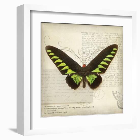 Butterflies Script VI-Amy Melious-Framed Art Print
