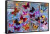 Butterflies Season-Ata Alishahi-Framed Stretched Canvas