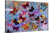 Butterflies Season-Ata Alishahi-Stretched Canvas
