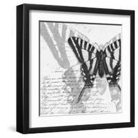 Butterflies Studies II-Patricia Pinto-Framed Art Print